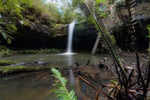 Wander Lorne Waterfalls - Erskine Falls, Phantom Falls and Sheoak Falls - our favourites at Great Ocean Road Locals